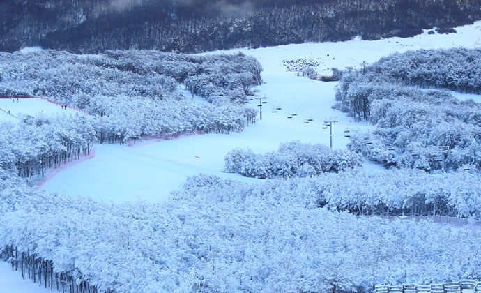 Cerro Castor